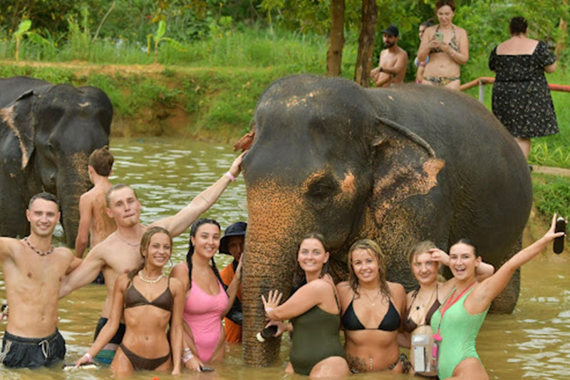 Elephant Sanctuary