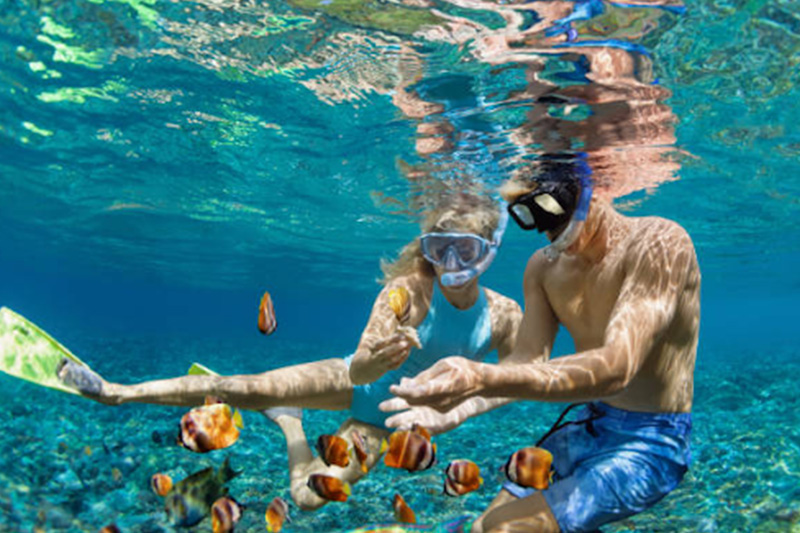 Snorkelling Tours